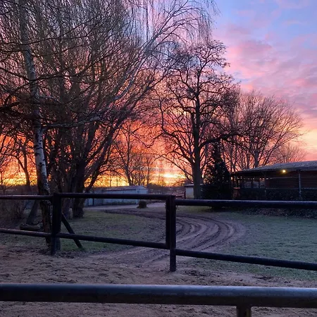 Auf Dem Pferdehof Gut - Mit Wlan, Sitzecke, Garten & Kostenlosem Parken * Greppin