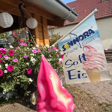 Auf Dem Pferdehof Gut - Mit Wlan, Sitzecke, Garten & Kostenlosem Parken Greppin