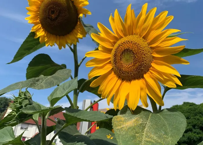 Vakantieboerderij Auf Dem Pferdehof Gut - Mit Wlan, Sitzecke, Garten & Kostenlosem Parken